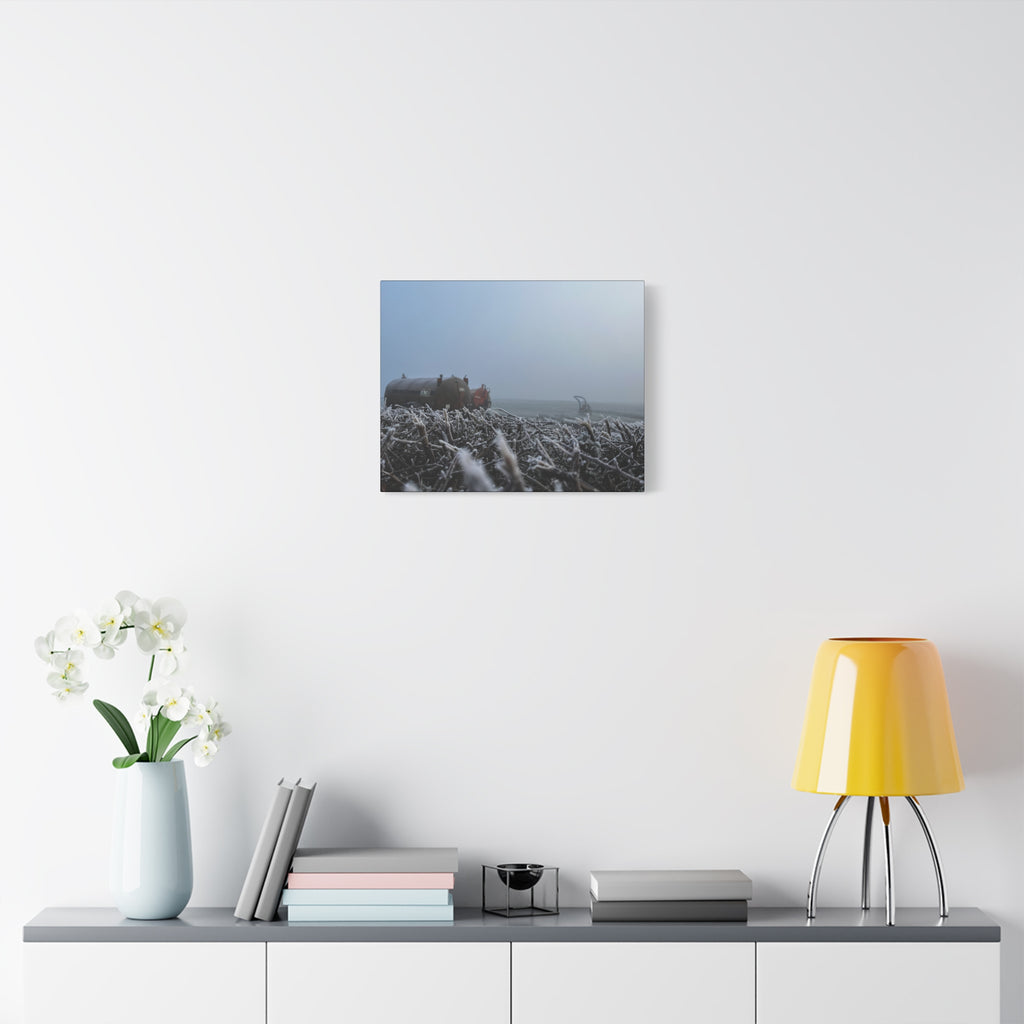 Irish Frost Farm Canvas Print — Foggy Shoreline with Frosted Driftwood