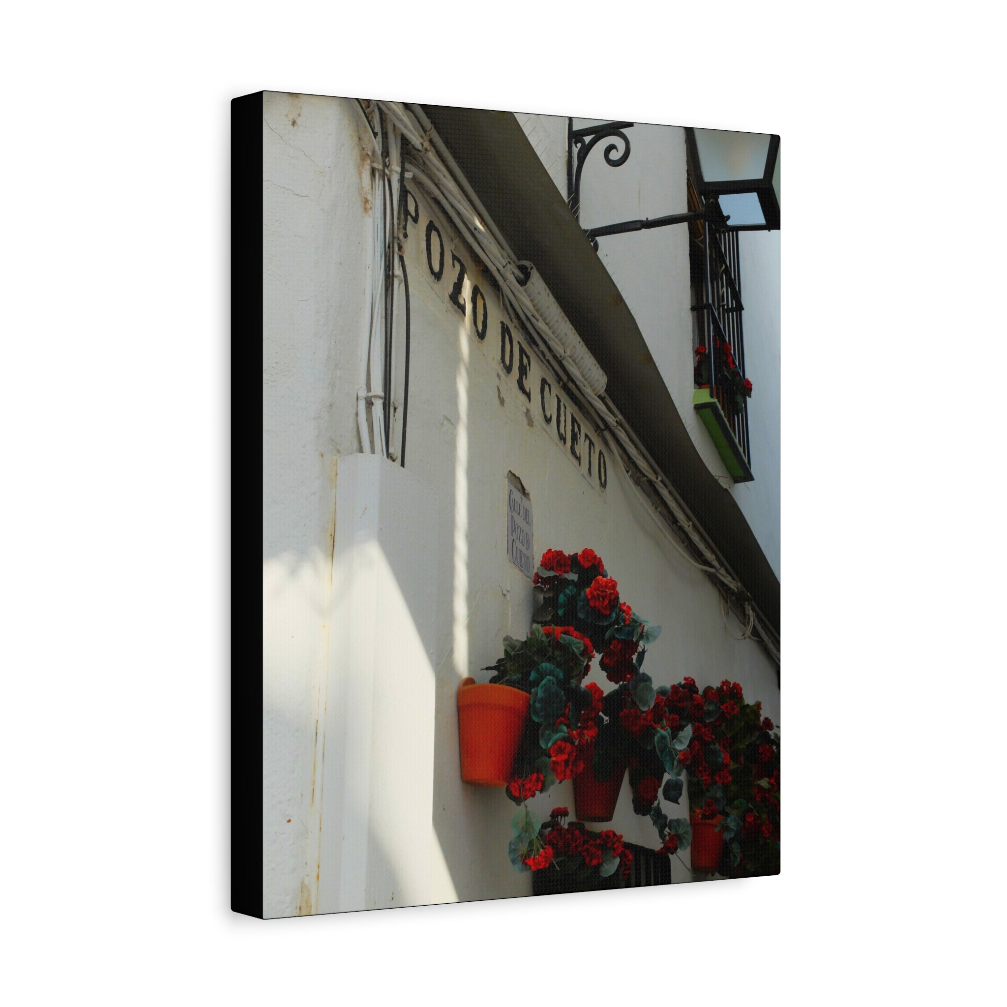 Spanish Street Flowers Canvas Print — 'Pozo de Cueto' Wall Art