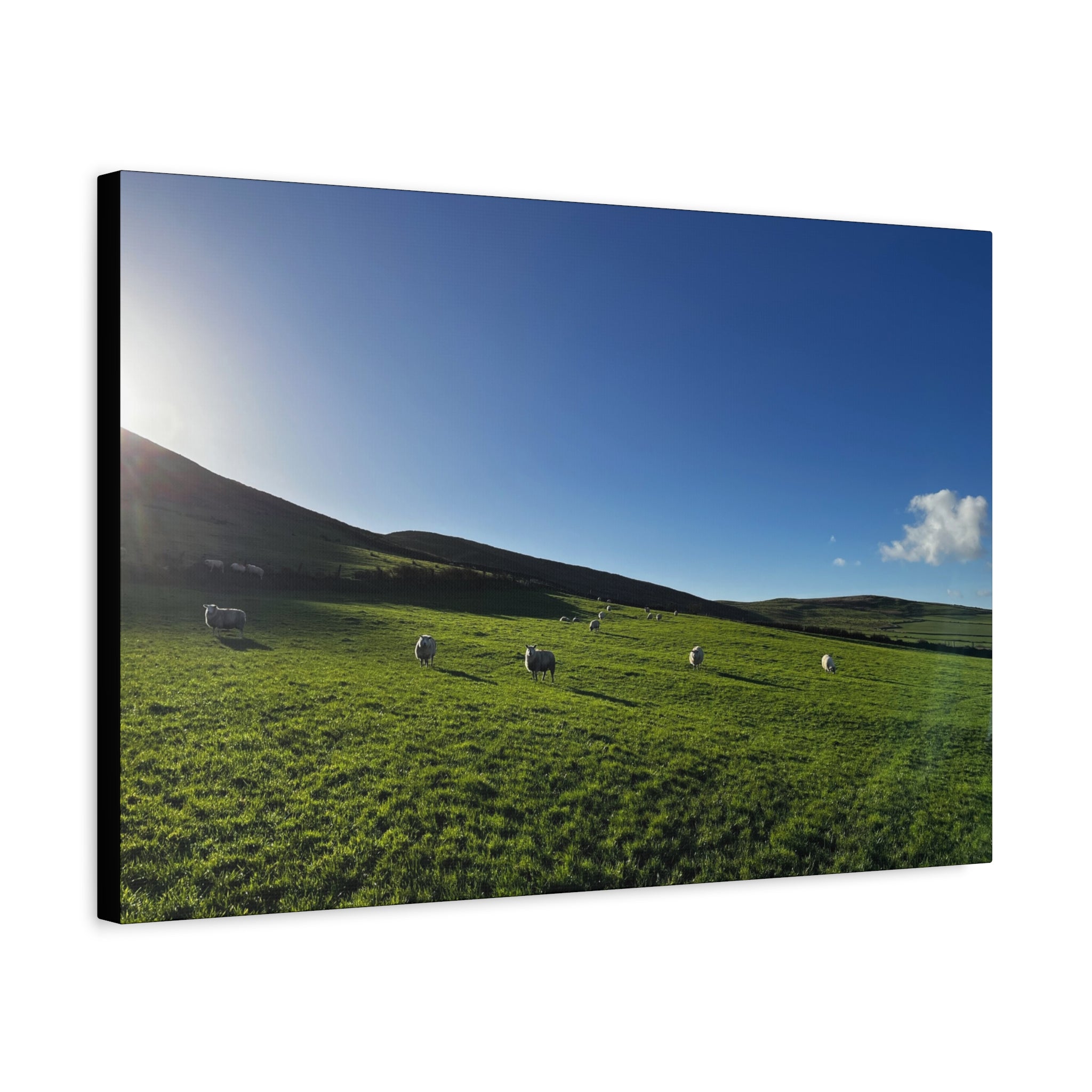 Irish sheep Pasture Canvas Print — Sheep Landscape Matte Stretched Wall Art