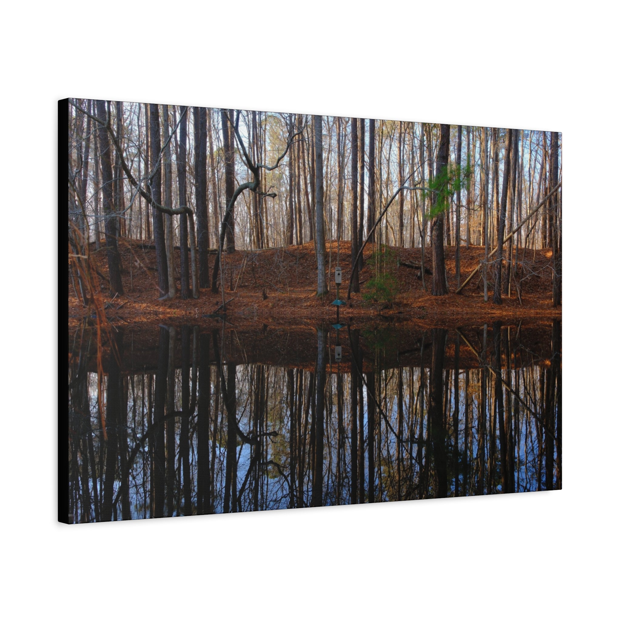 Woodland Reflection Matte Canvas Art – Stretched 1.25" Wall Decor