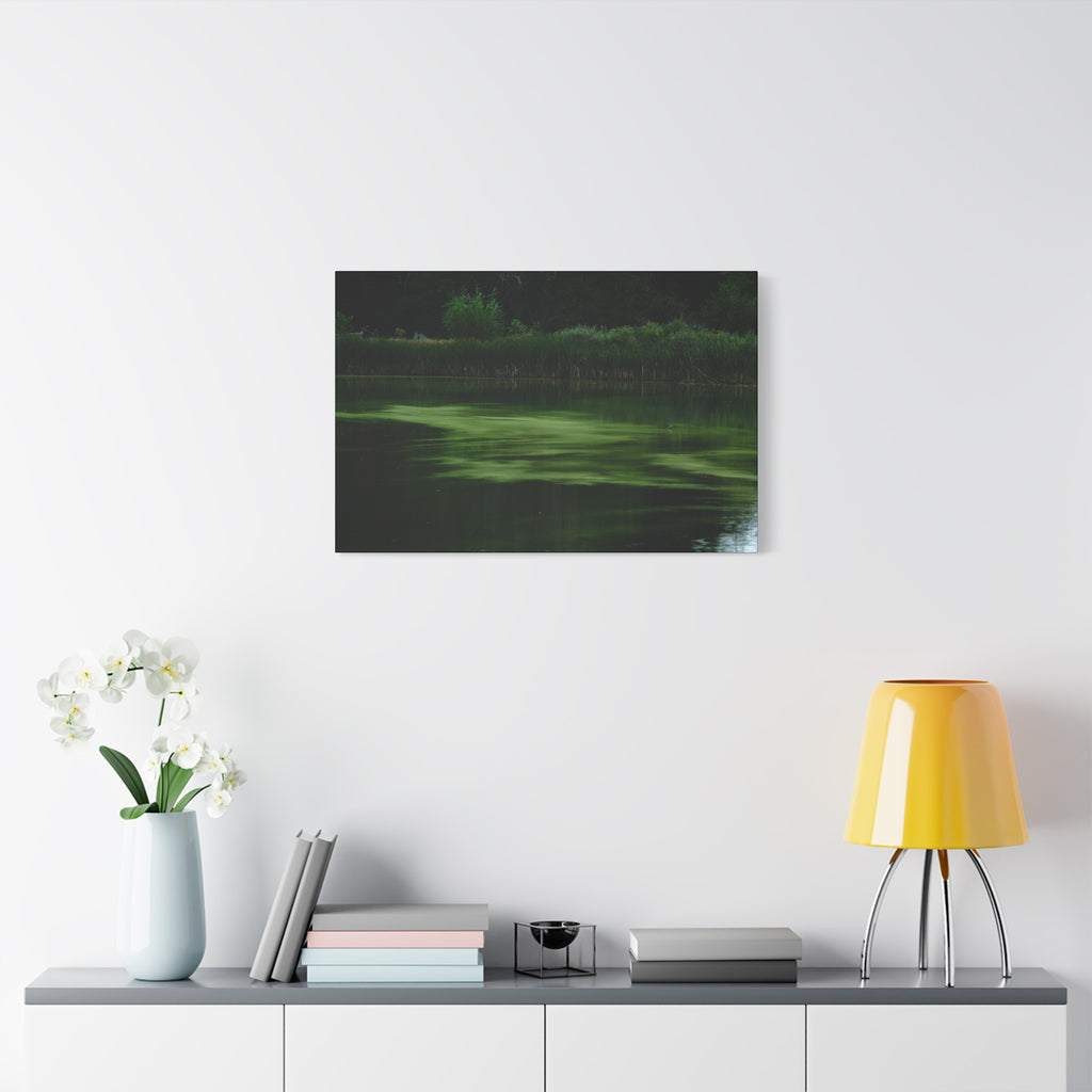 Not Your Average Bloom - Matte Canvas Wall Art Stretched 1.25"