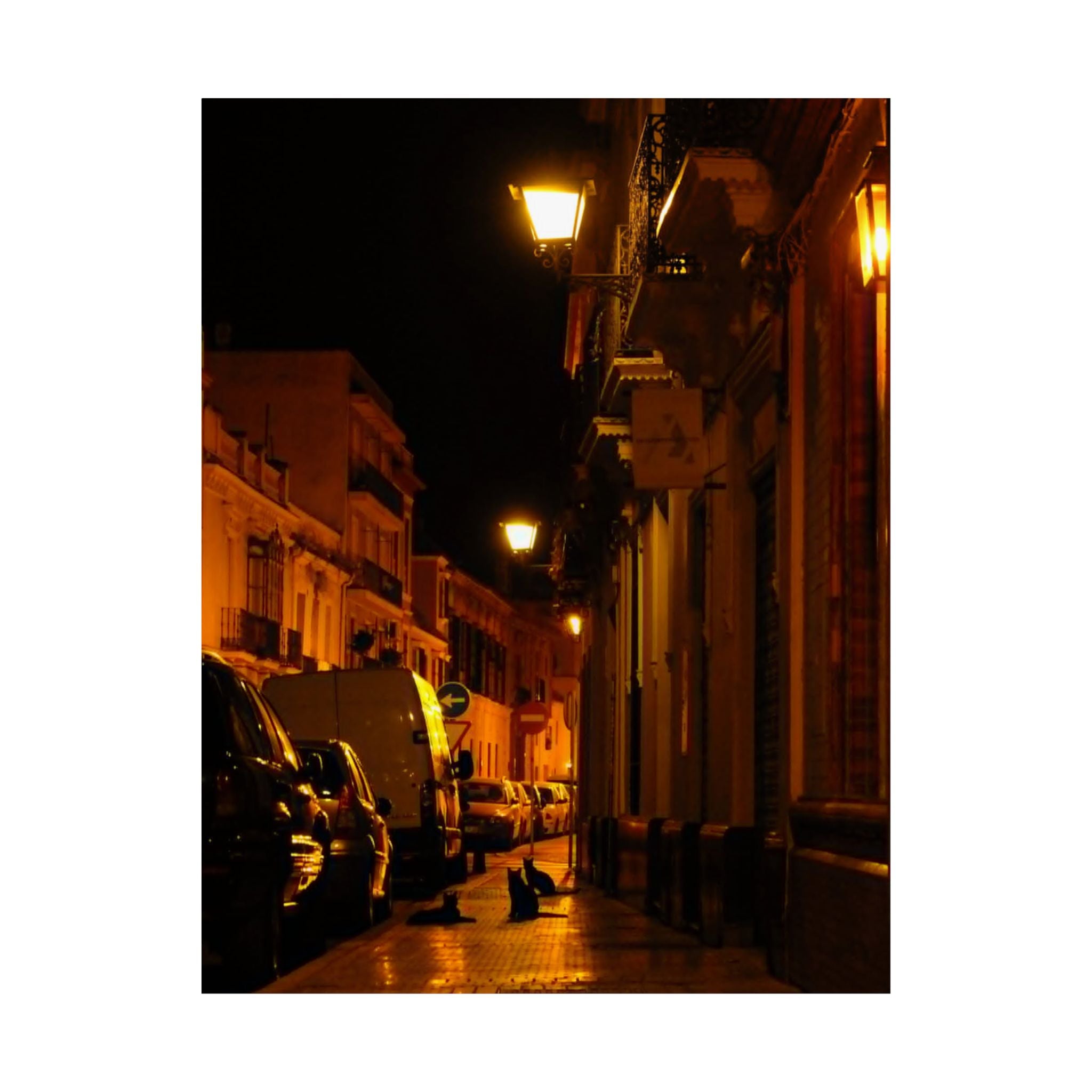 Secret Spanish Cat Committee Vertical Poster — Nighttime European Street with Warm Lamp Glow