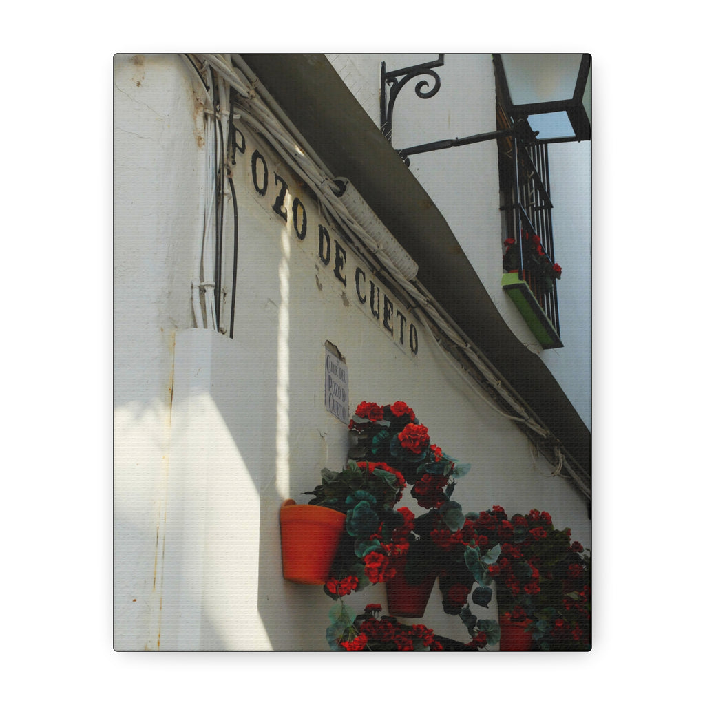 Spanish Street Flowers Canvas Print — 'Pozo de Cueto' Wall Art