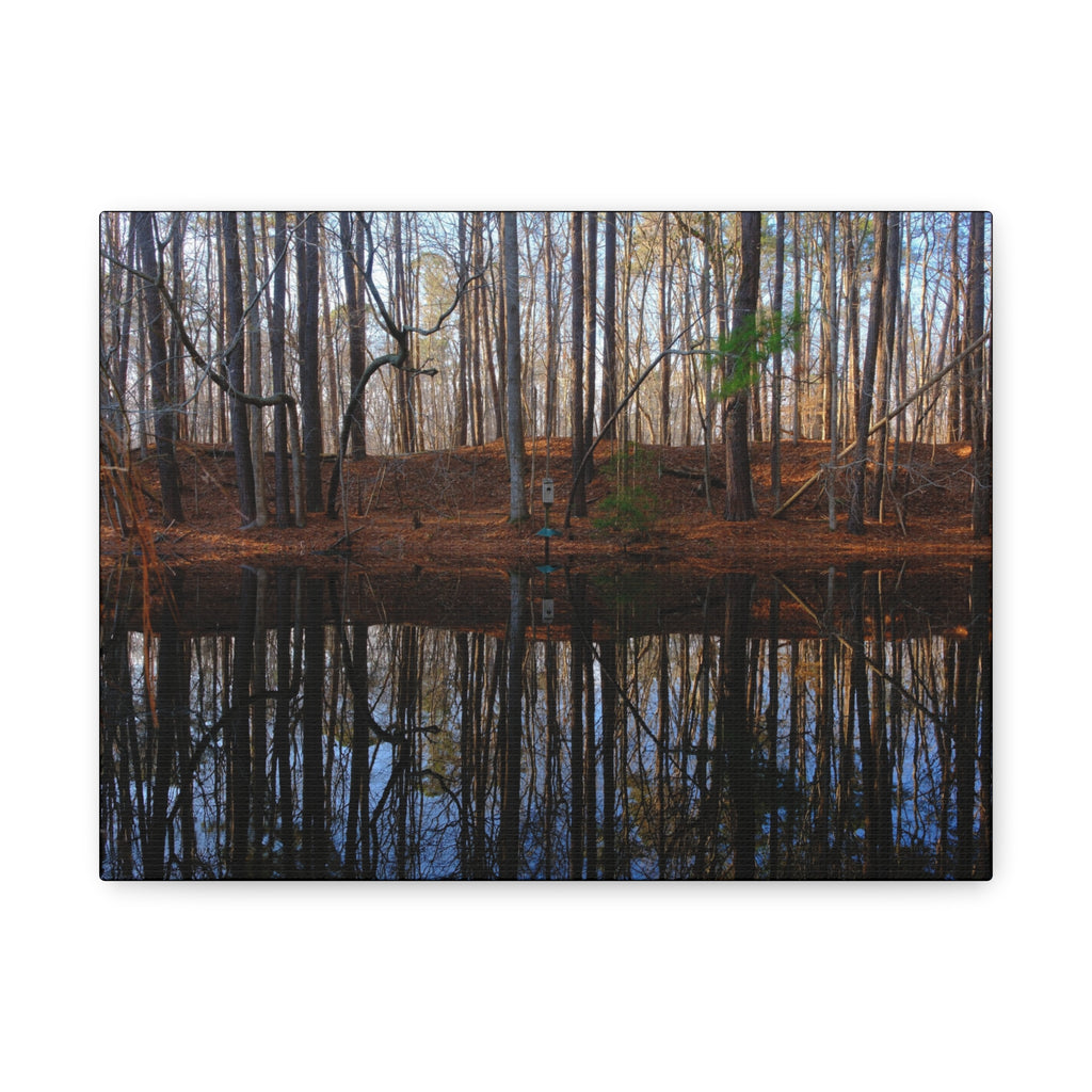 Woodland Reflection Matte Canvas Art – Stretched 1.25" Wall Decor