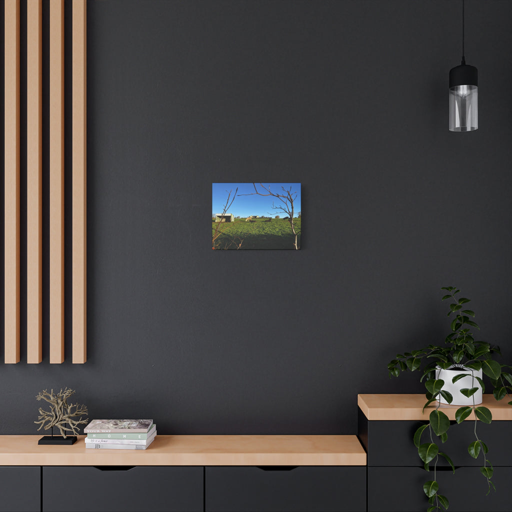 Irish Country Pasture Canvas Print — Matte Stretched Wall Art