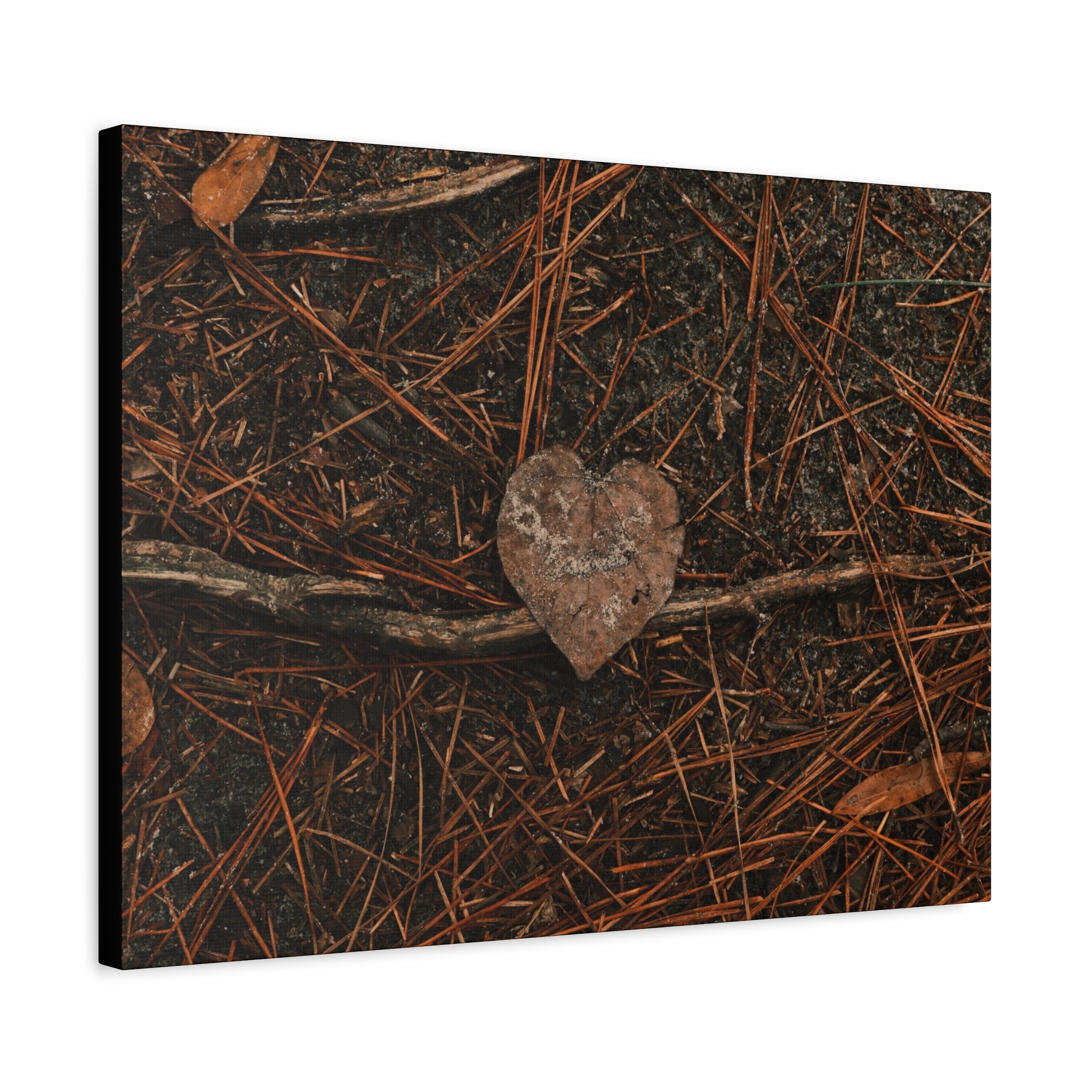 Love Your Forest Canvas Print – Rustic Nature Wall Art