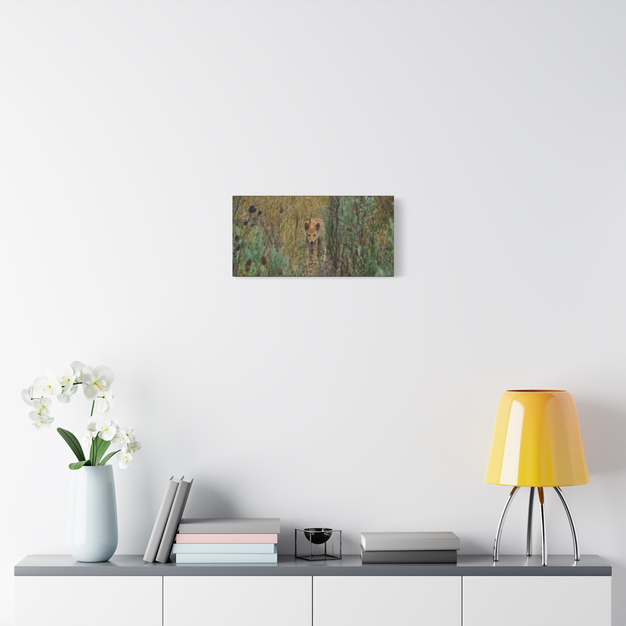 Coyote Pup Staring - Matte Stretched Canvas