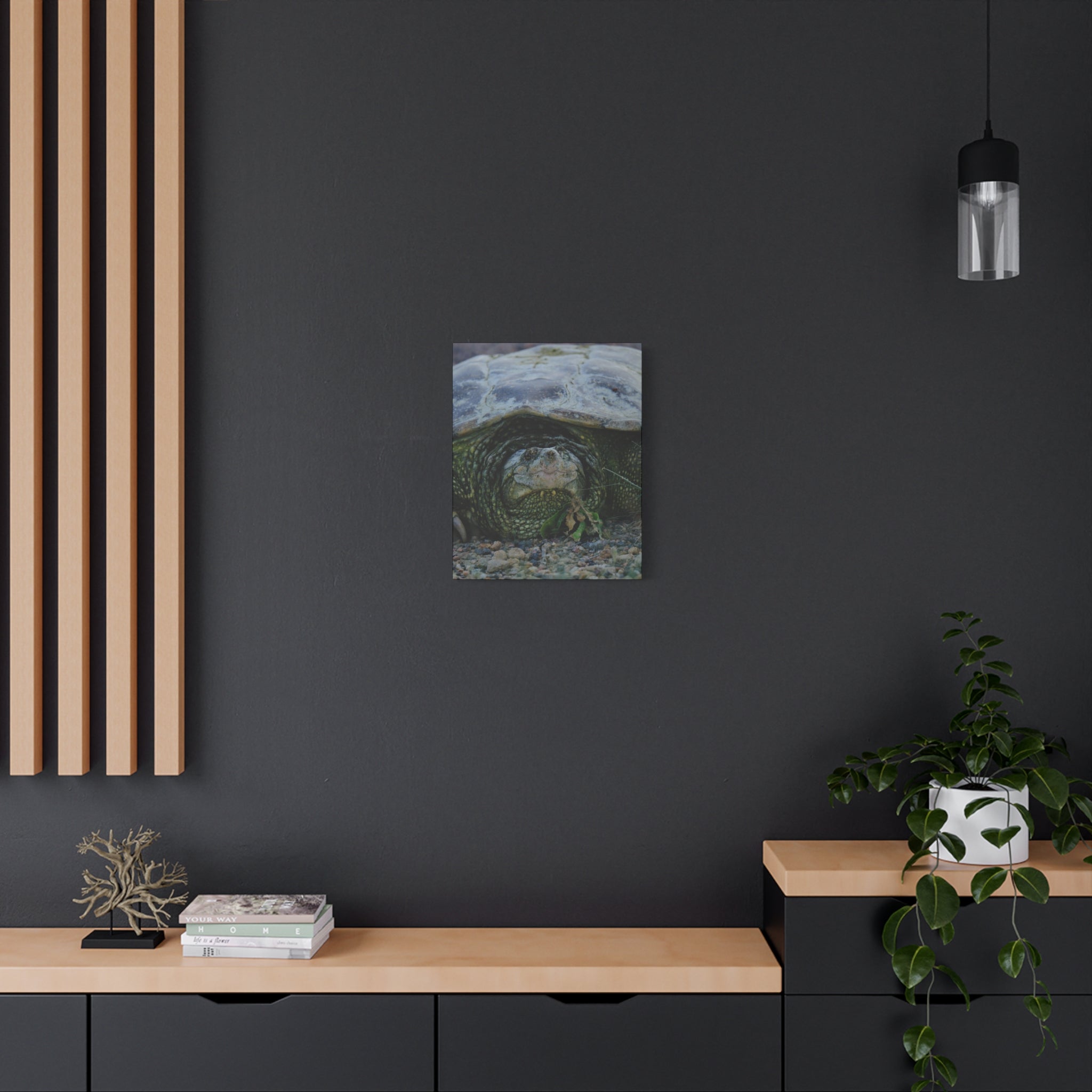 Snapping Turtle Matte Canvas Print – Wildlife Photography Wall Art
