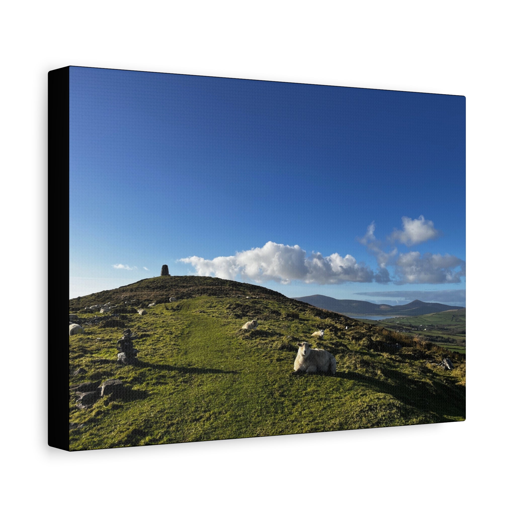 Sheep Lookout Canvas Print – Rolling Green Hills with Blue Sky