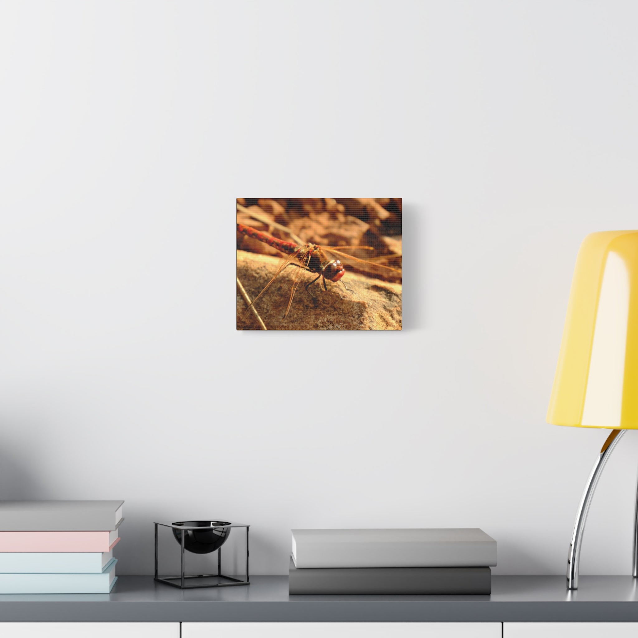 Dragonfly Macro Canvas Print — Close-Up Nature Wall Art, Rustic Insect Photography