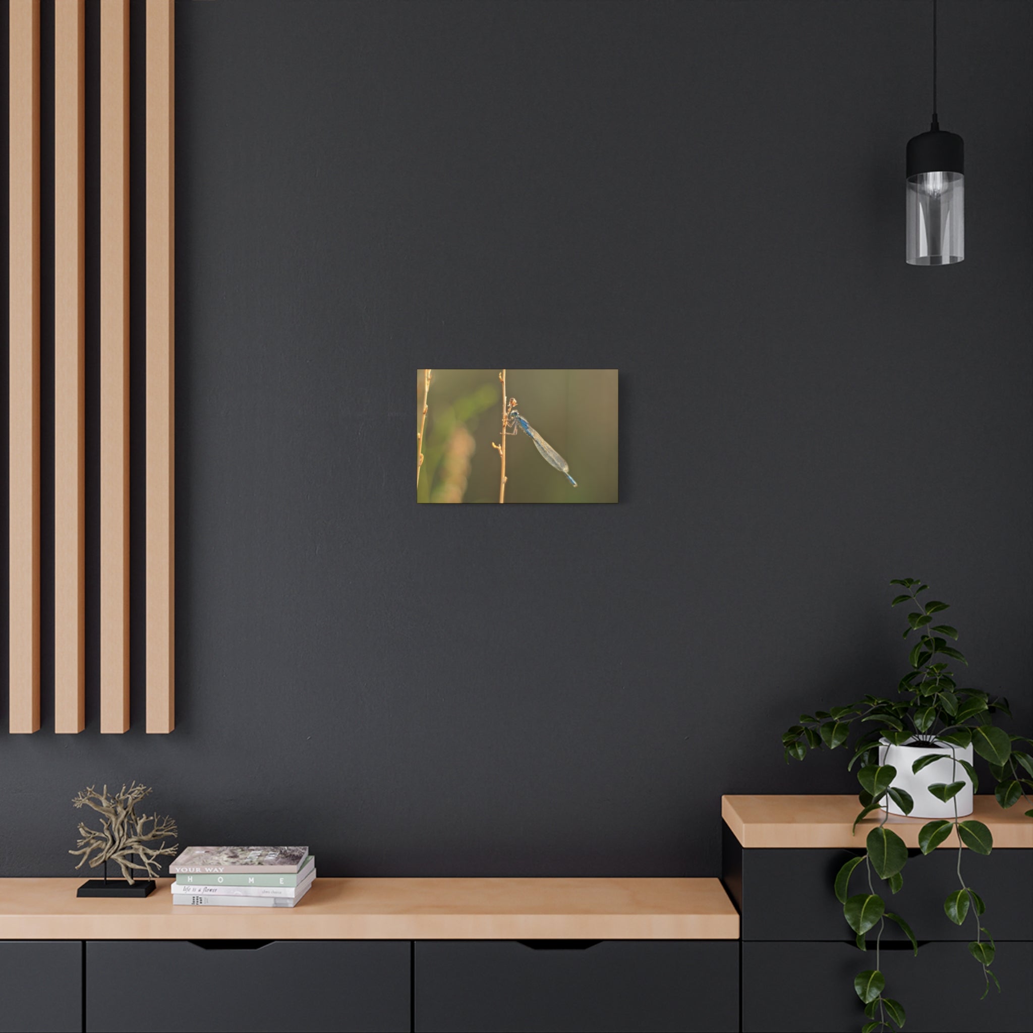 Blue Dragonfly Macro Canvas Print — Blue Damselfly Nature Wall Art, Matte Stretched 1.25"