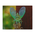 The Cutest Green Cicada Canvas Print - Matte Stretched Wall Art