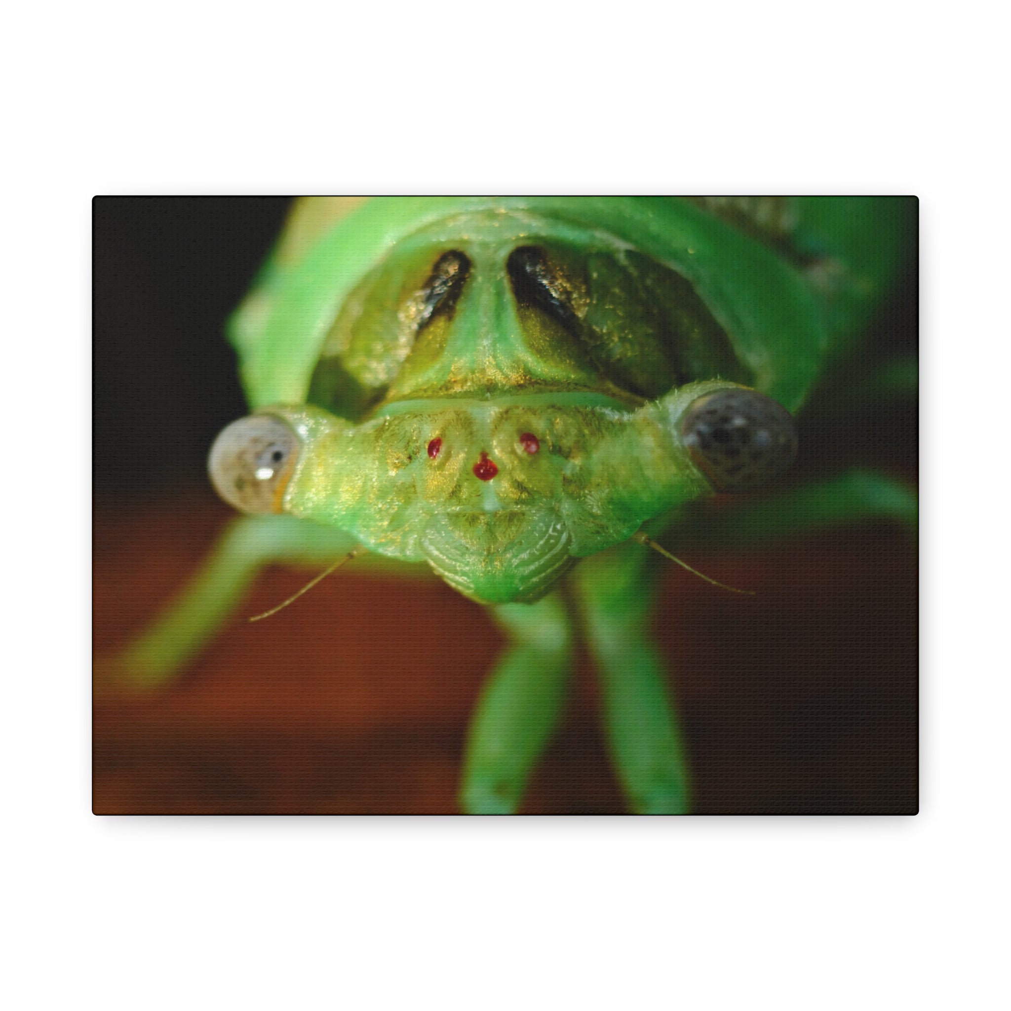 Cute Green Cicada Macro Canvas Print — Close-Up Insect Wall Art