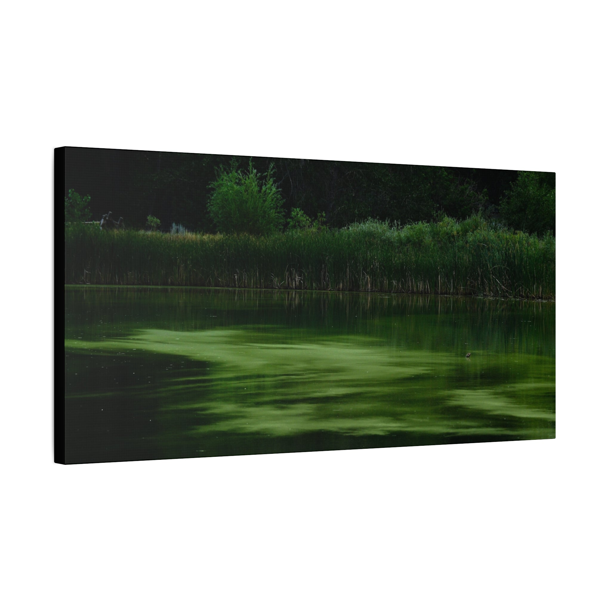 Not Your Average Bloom - Matte Canvas Wall Art Stretched 1.25"