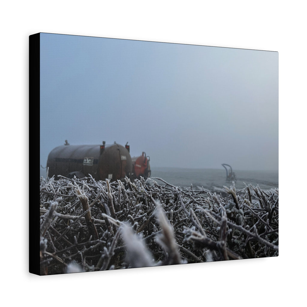 Irish Frost Farm Canvas Print — Foggy Shoreline with Frosted Driftwood