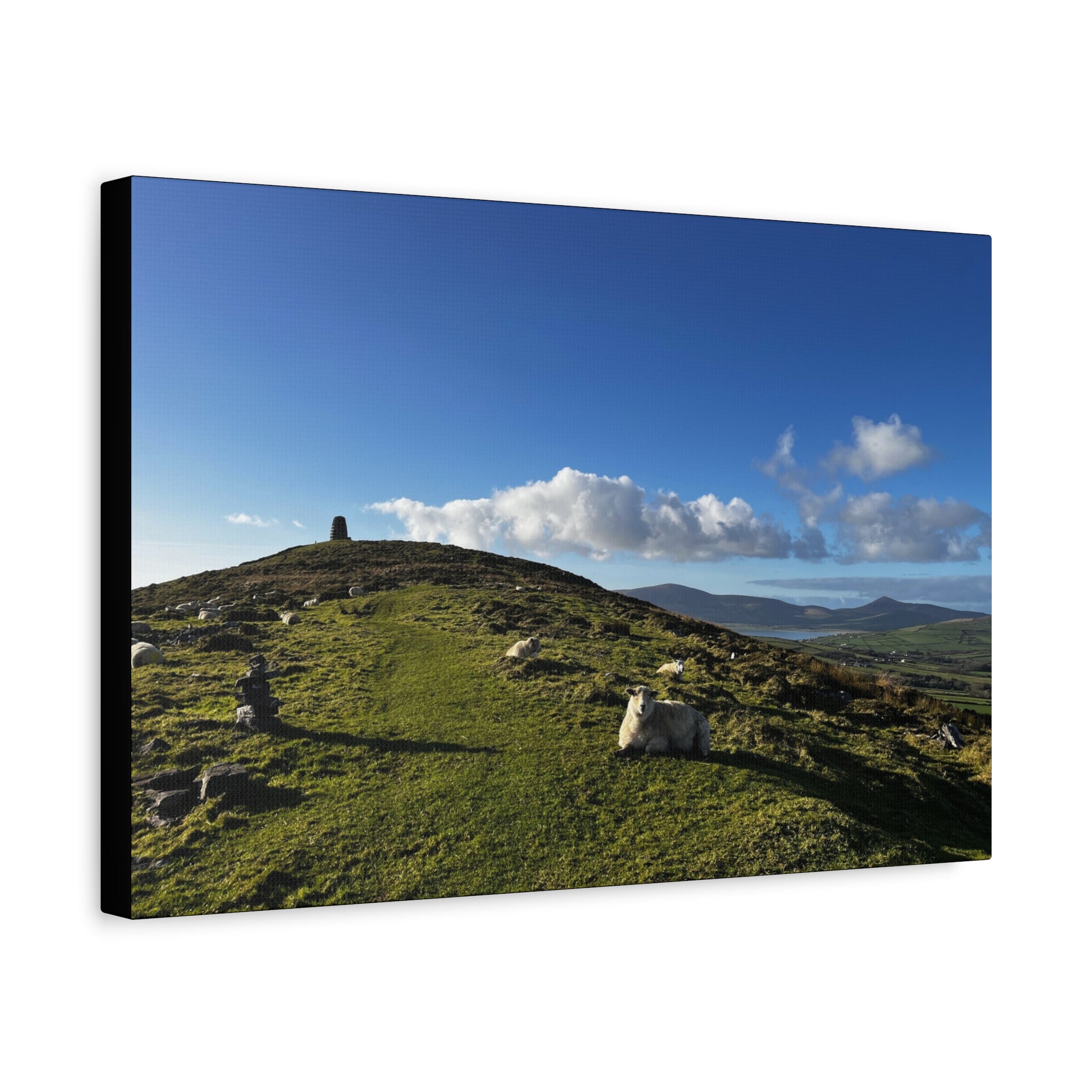 Sheep Lookout Canvas Print – Rolling Green Hills with Blue Sky