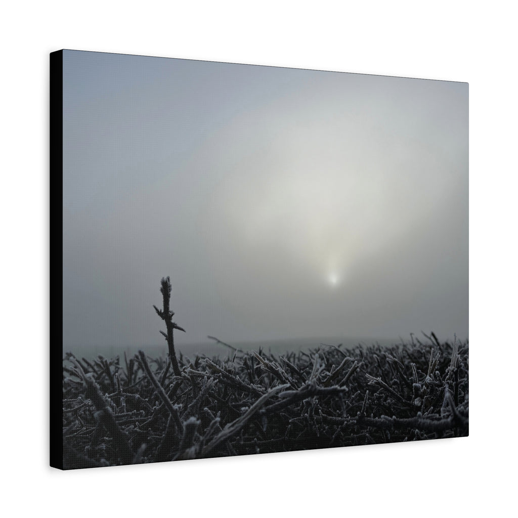 Foggy Sunrise Matte Canvas Wall Art – Moody Winter Landscape