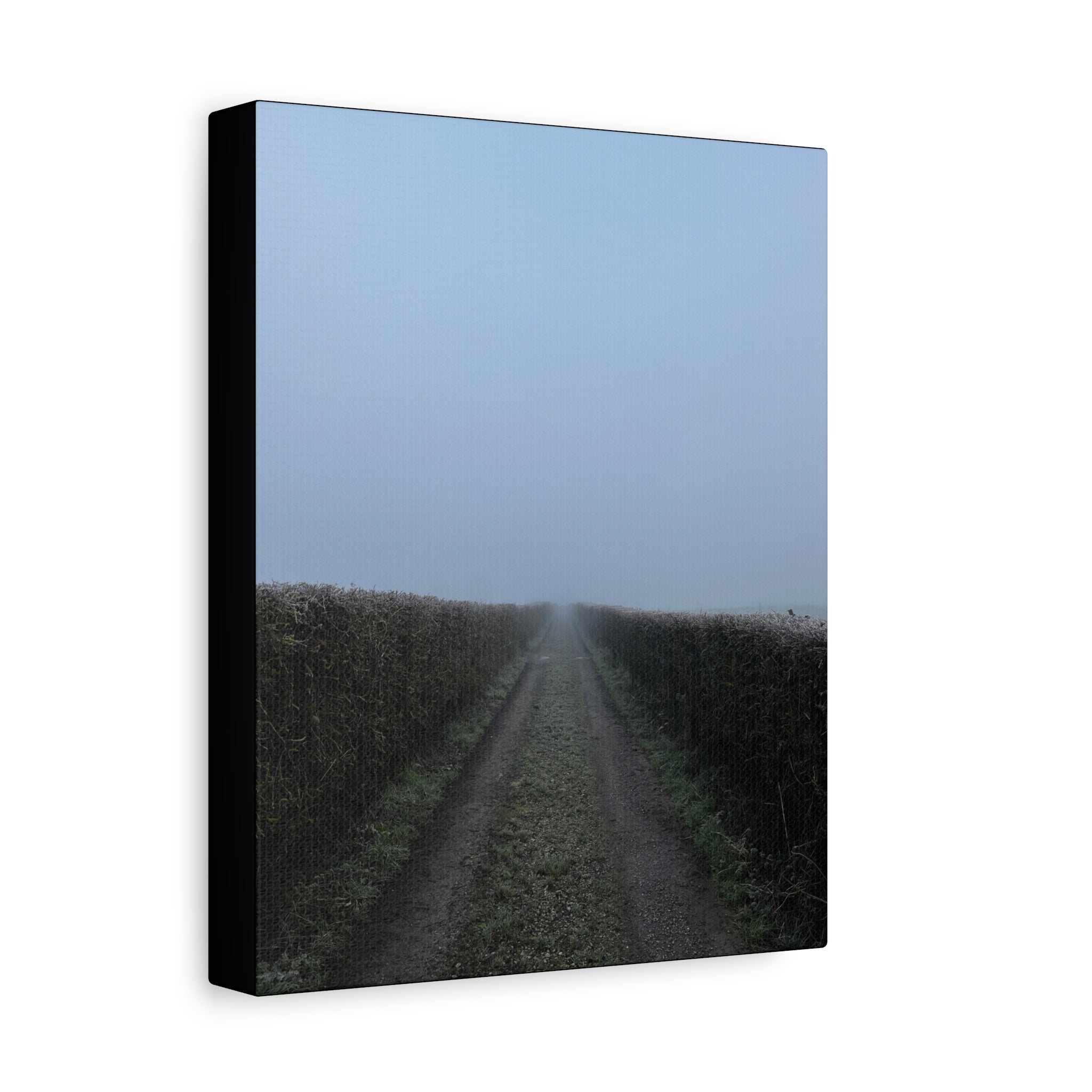 Foggy Country Lane Matte Canvas Wall Art — Stretched 1.25"