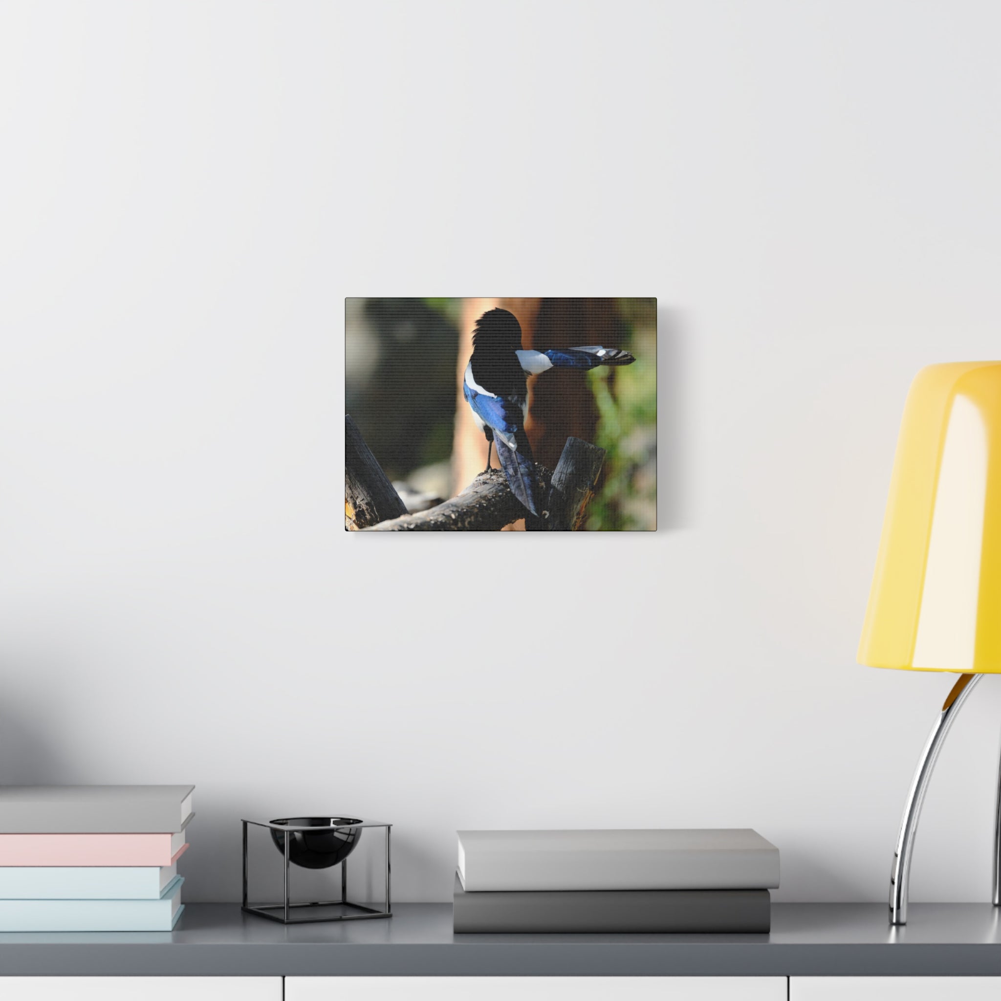 Black-billed Magpie Wildlife Canvas Print — Matte Stretched Wall Art