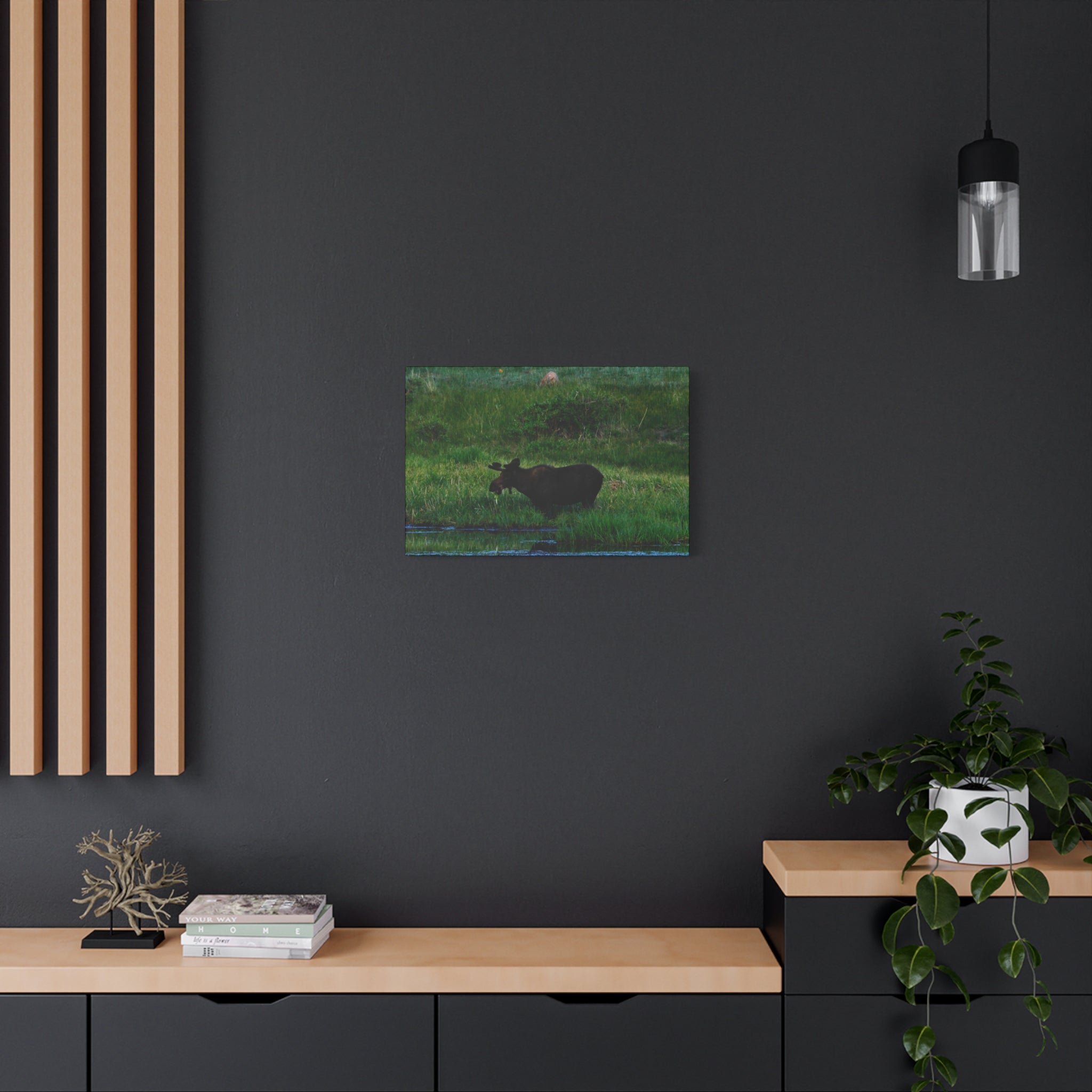 Munching Moose Matte Canvas Print — Stretched Wildlife Wall Art