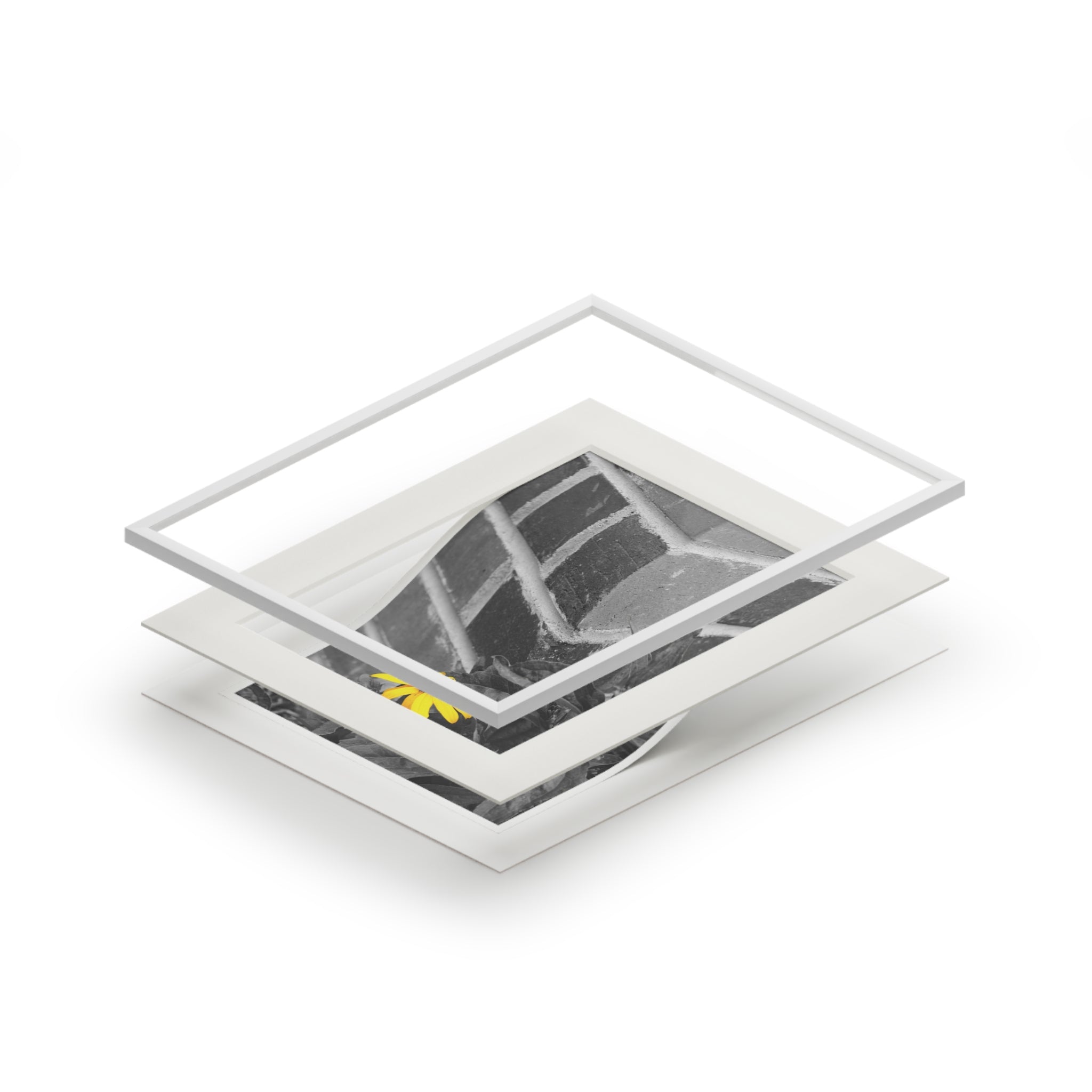 Fine Art Print — Monochrome Brick Corner with Yellow Daisy (Passepartout)