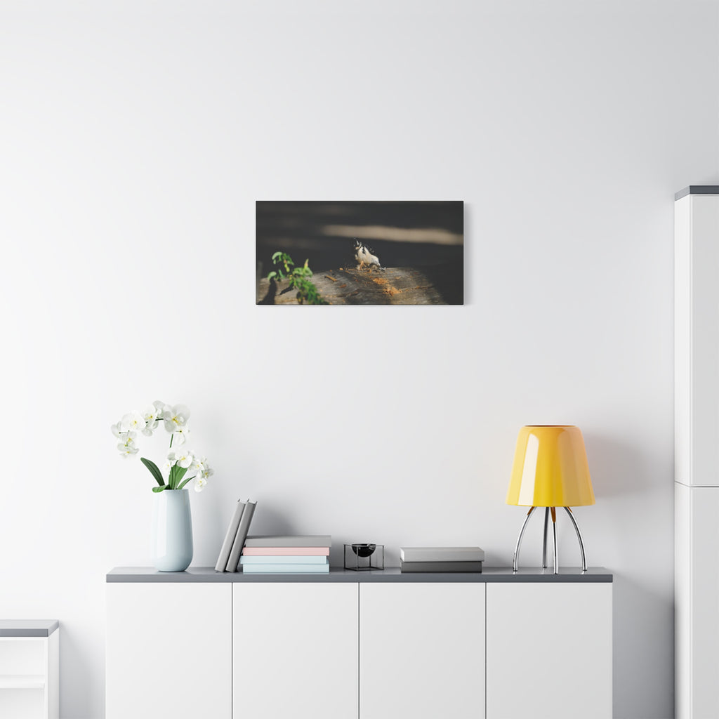 American Three-toed Woodpecker Hard At Work Canvas Wall Art