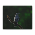 Robin on Branch Matte Canvas Wall Art — Moody Nature Photography Print