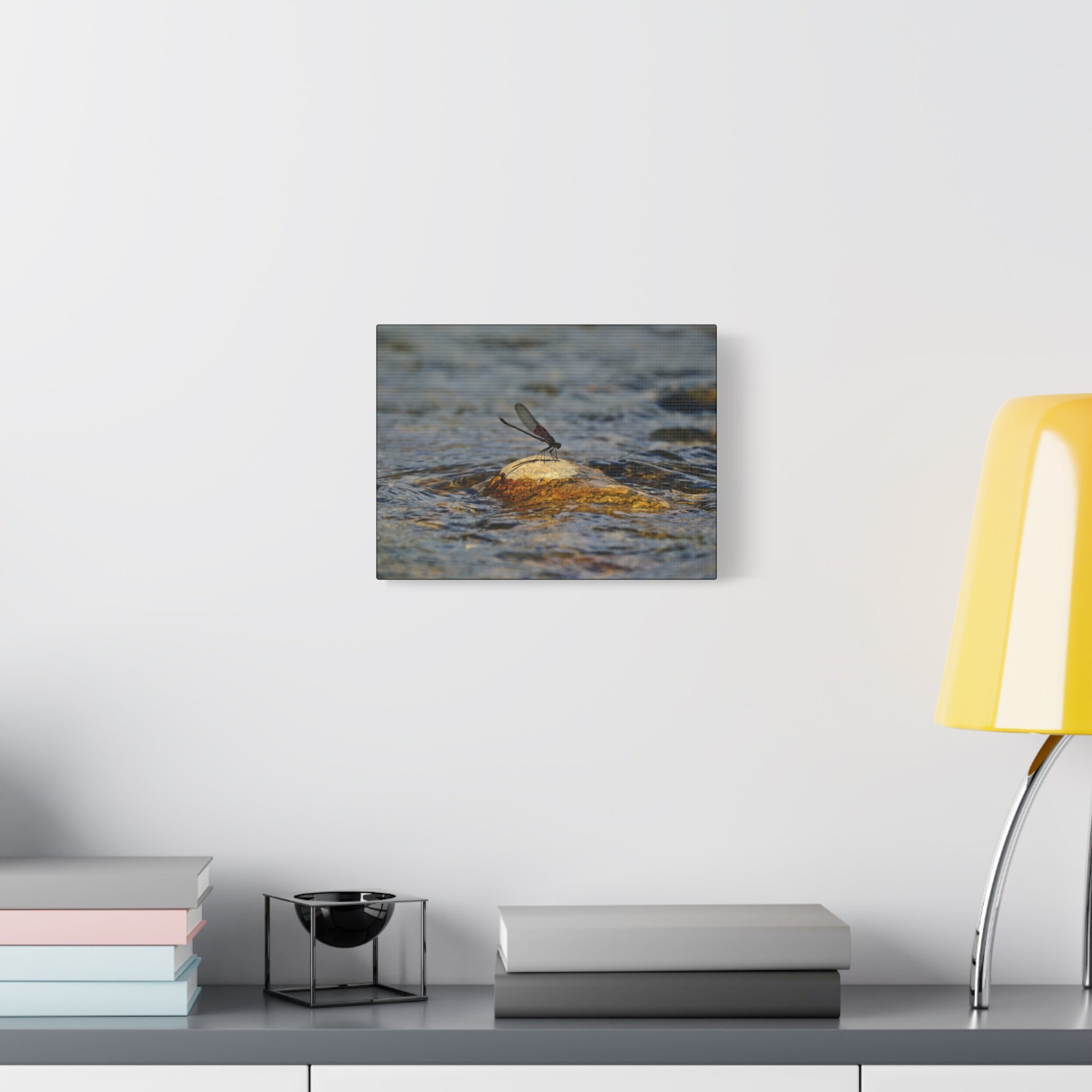 Damselfly on River Rock - Matte Canvas Print