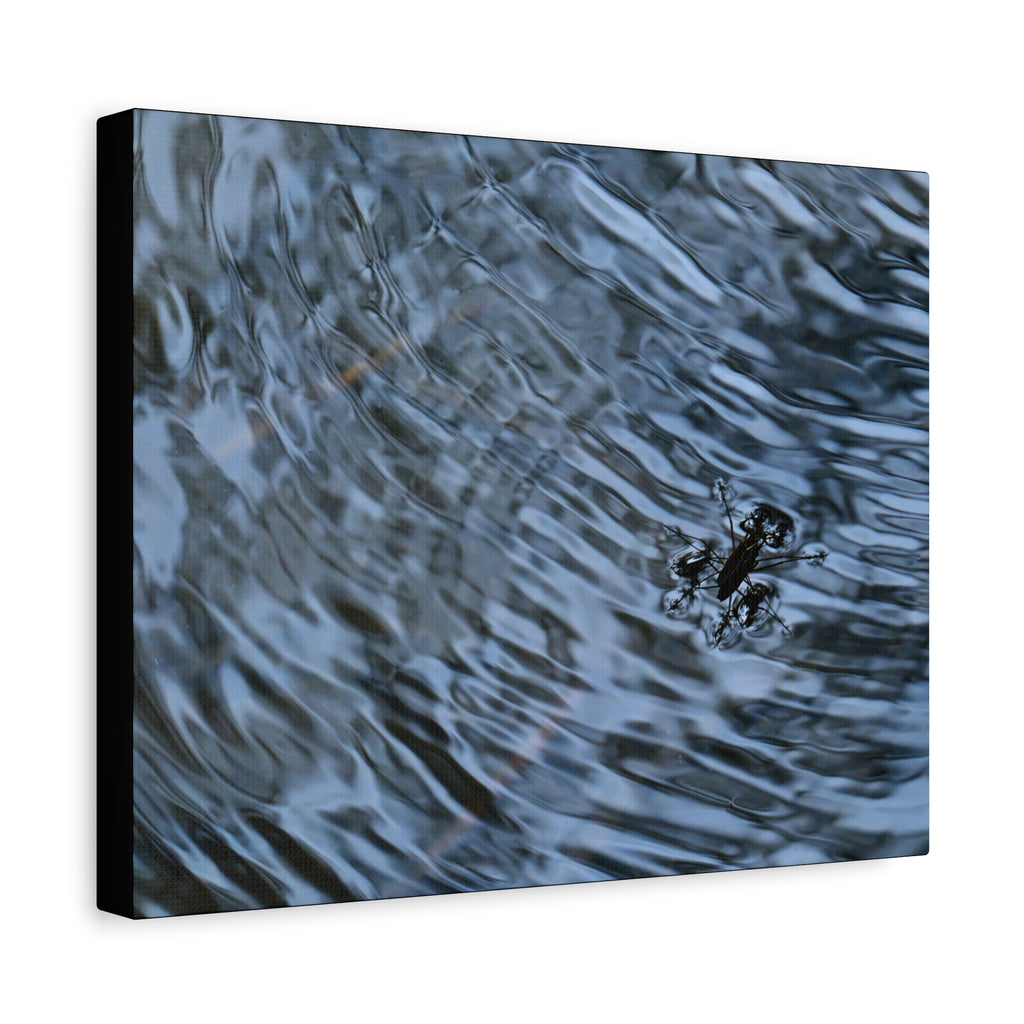 Rippling - Canvas Matte Stretched Print