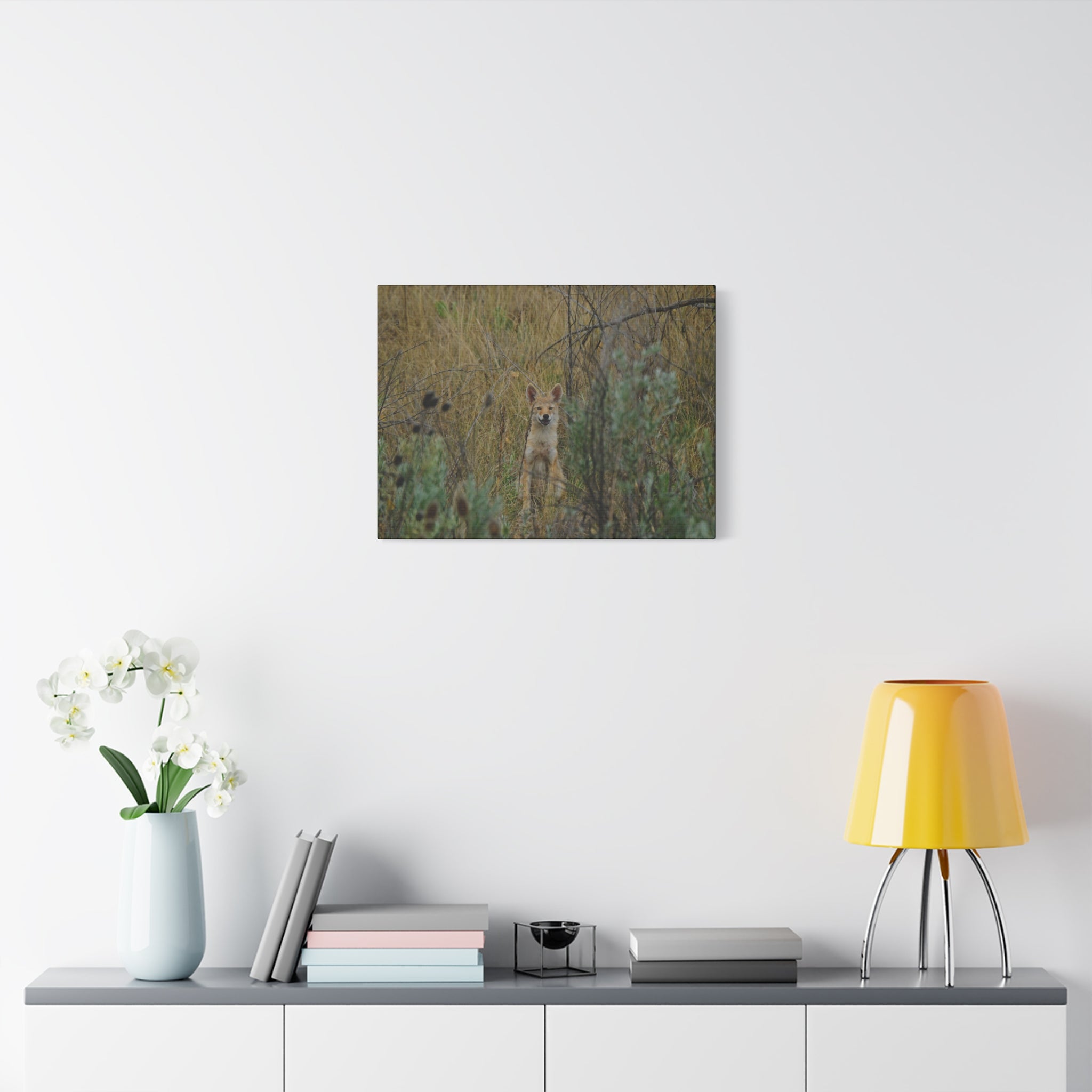 Friendly Face In The Wild - Coyote in Tall Grass Matte Canvas Wall Art