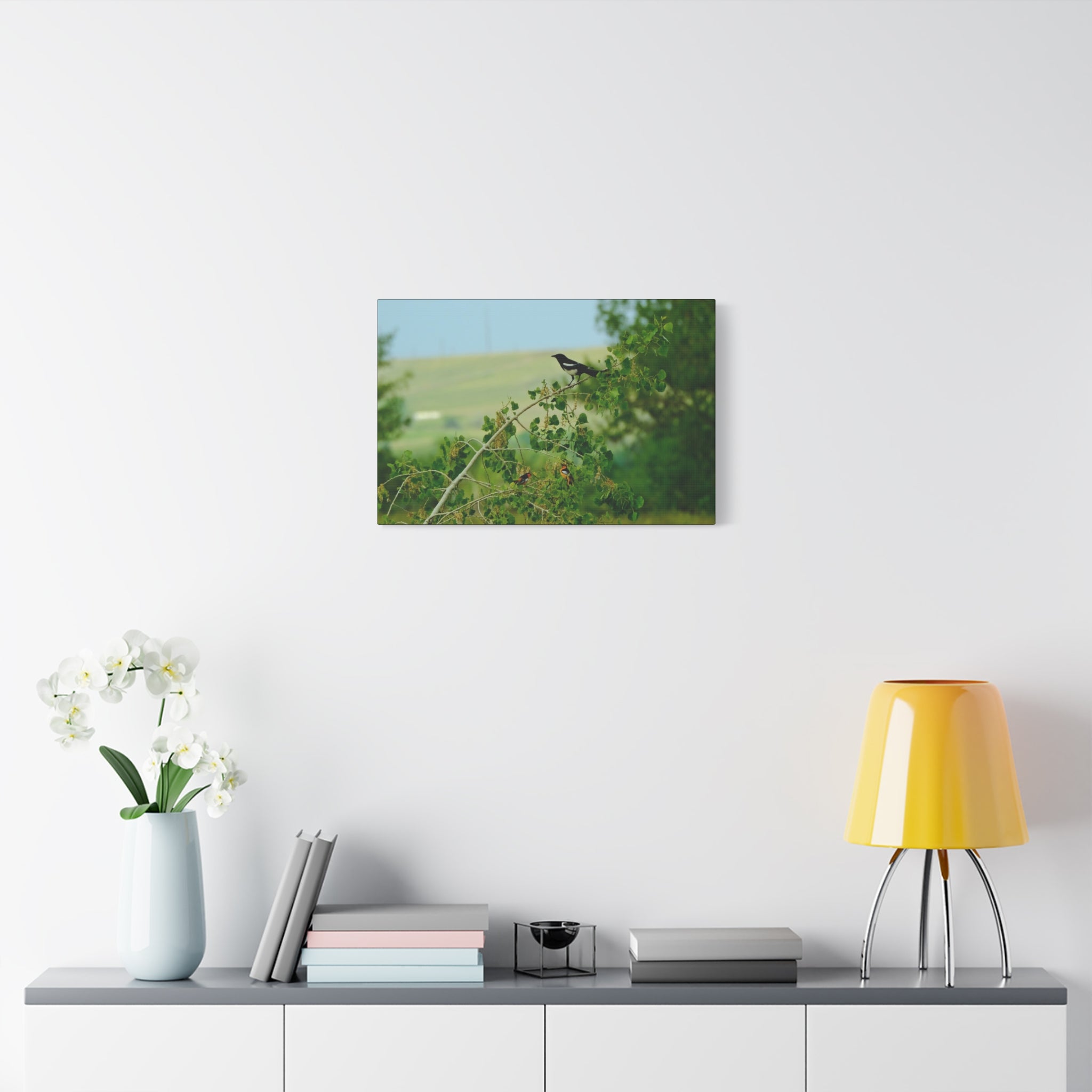 Magpie & Bullock's Oriole resting Matte Stretched Canvas Wall Art