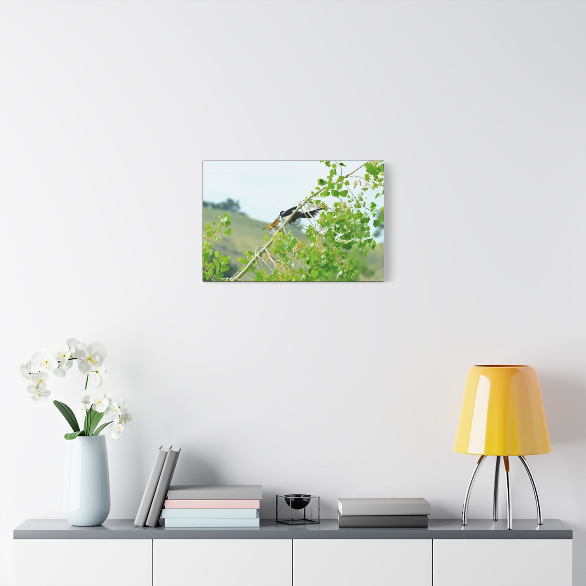 Oriole & Magpie Battle on an Aspen Branch - Matte Stretched Canvas Wall Art