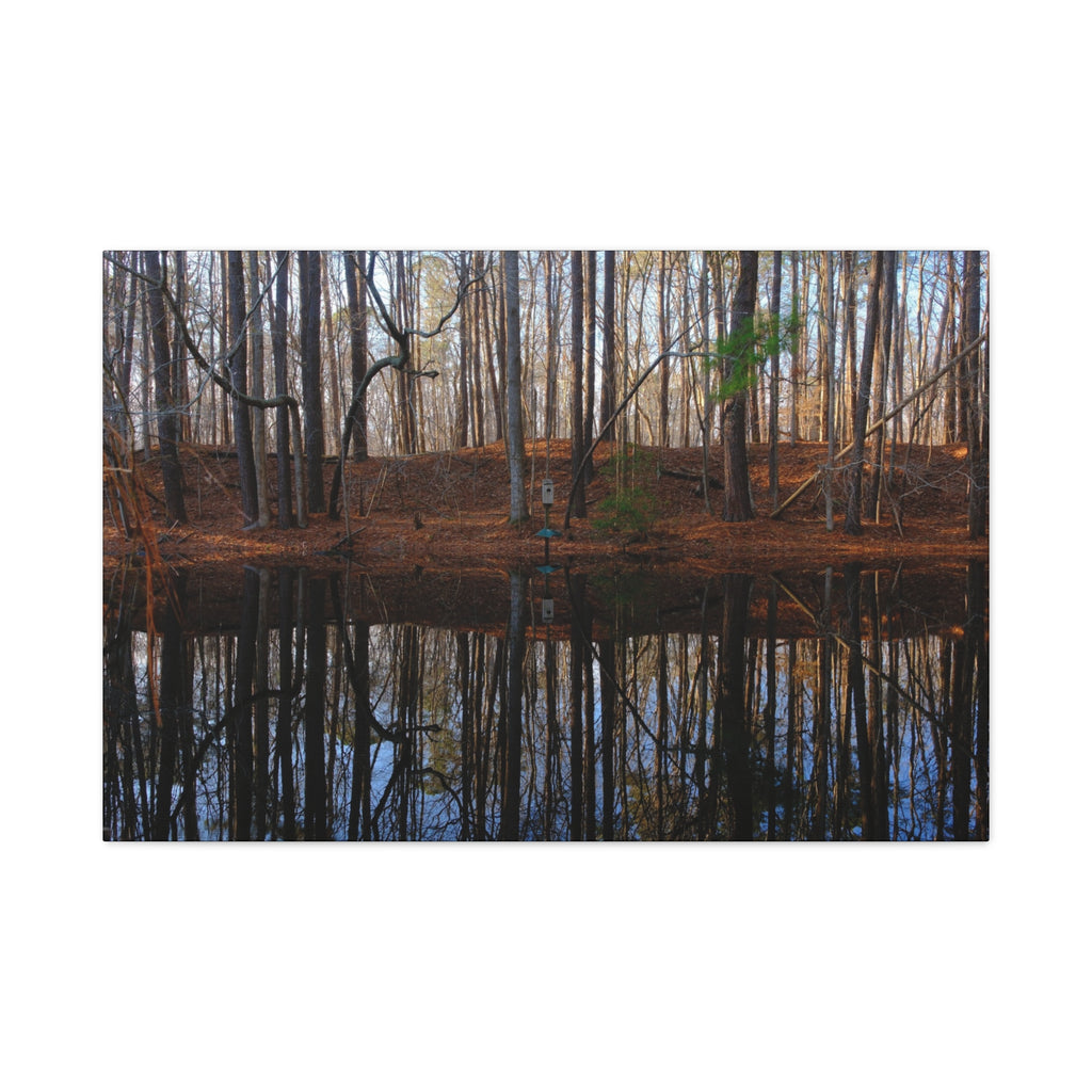 Woodland Reflection Matte Canvas Art – Stretched 1.25" Wall Decor
