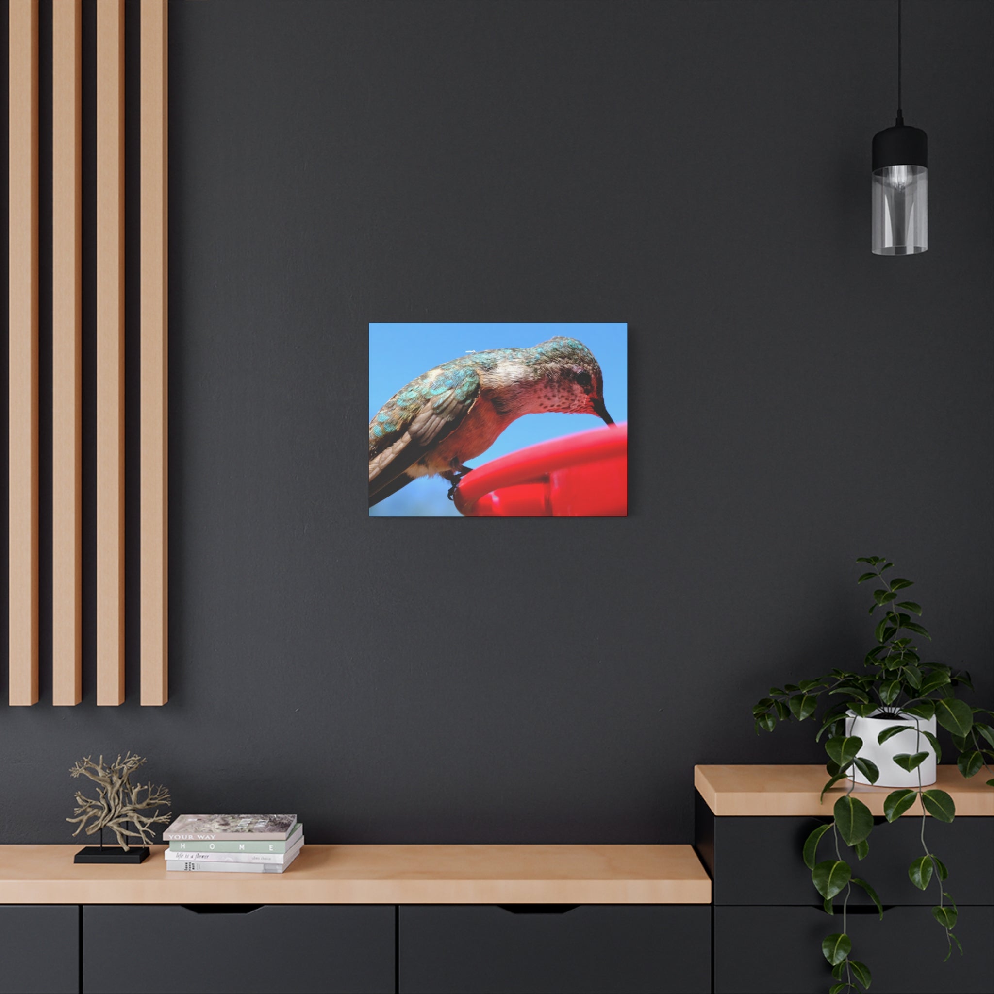 Hummingbird Close Up Canvas Print — Stretched Matte Wall Art