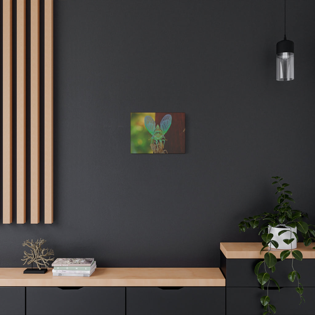 The Cutest Green Cicada Canvas Print - Matte Stretched Wall Art