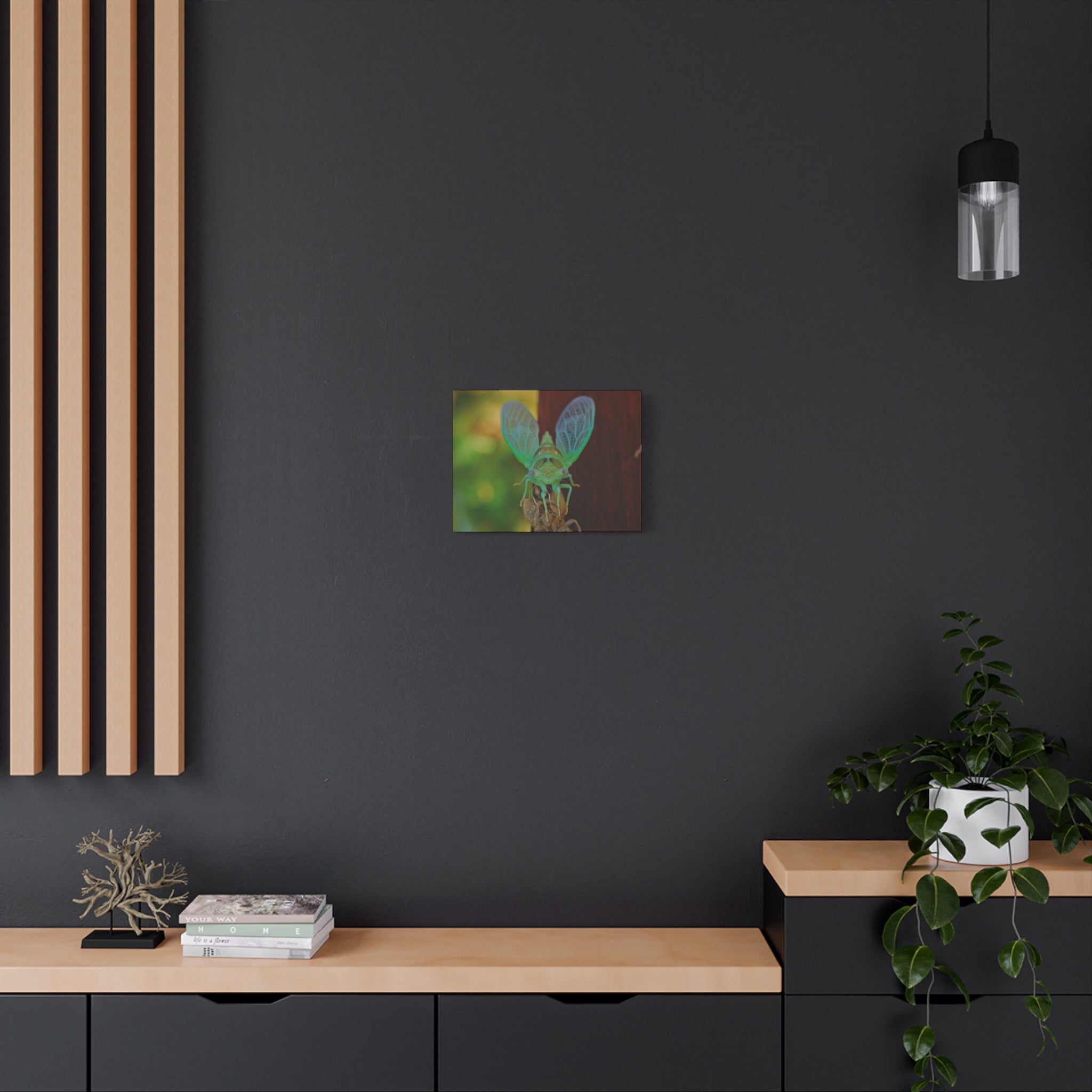 The Cutest Green Cicada Canvas Print - Matte Stretched Wall Art