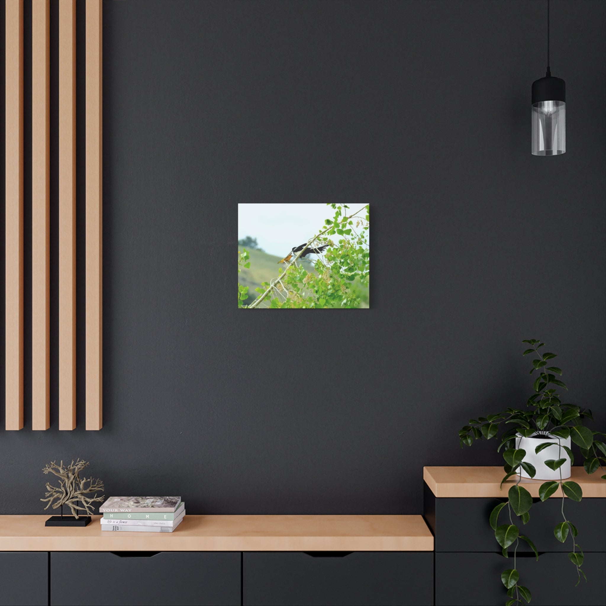 Oriole & Magpie Battle on an Aspen Branch - Matte Stretched Canvas Wall Art