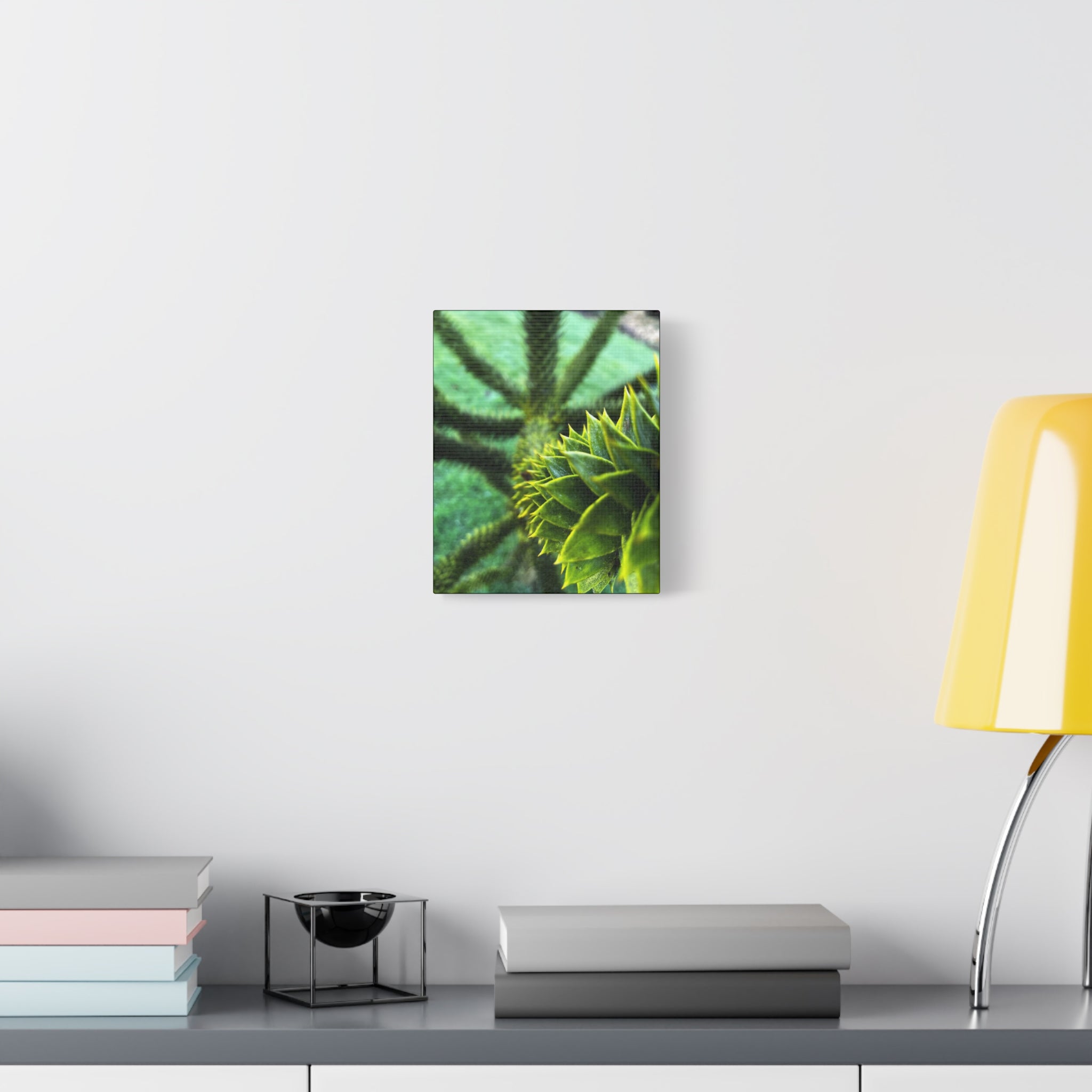Irish Green Succulent Canvas Wall Art – Matte Stretched 1.25"