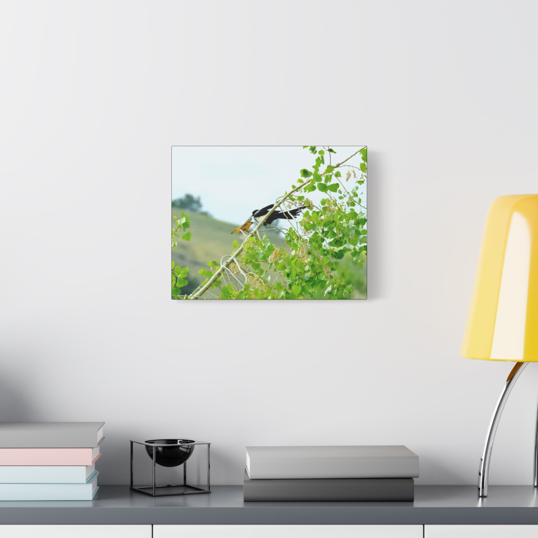 Oriole & Magpie Battle on an Aspen Branch - Matte Stretched Canvas Wall Art
