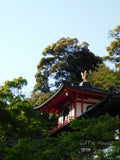 Osaka Mountain Temple
