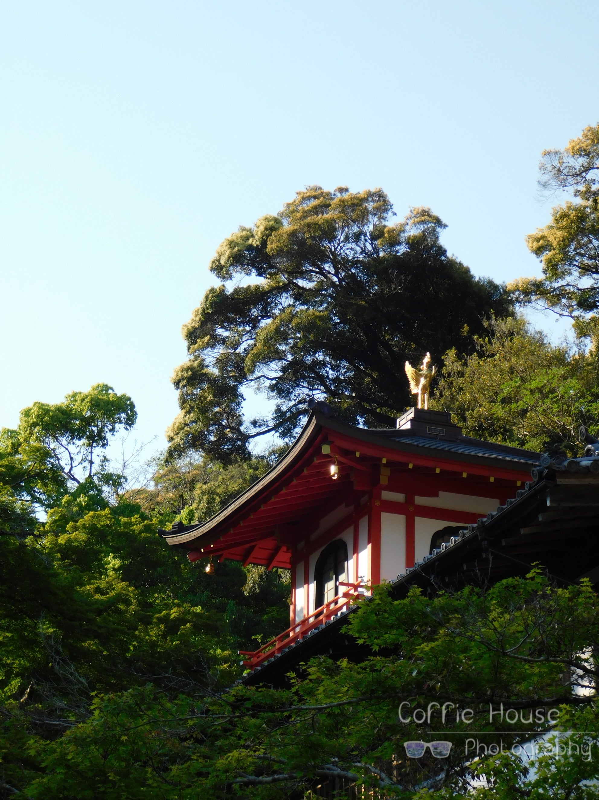 Osaka Mountain Temple