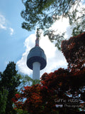 Seoul Tower in the trees