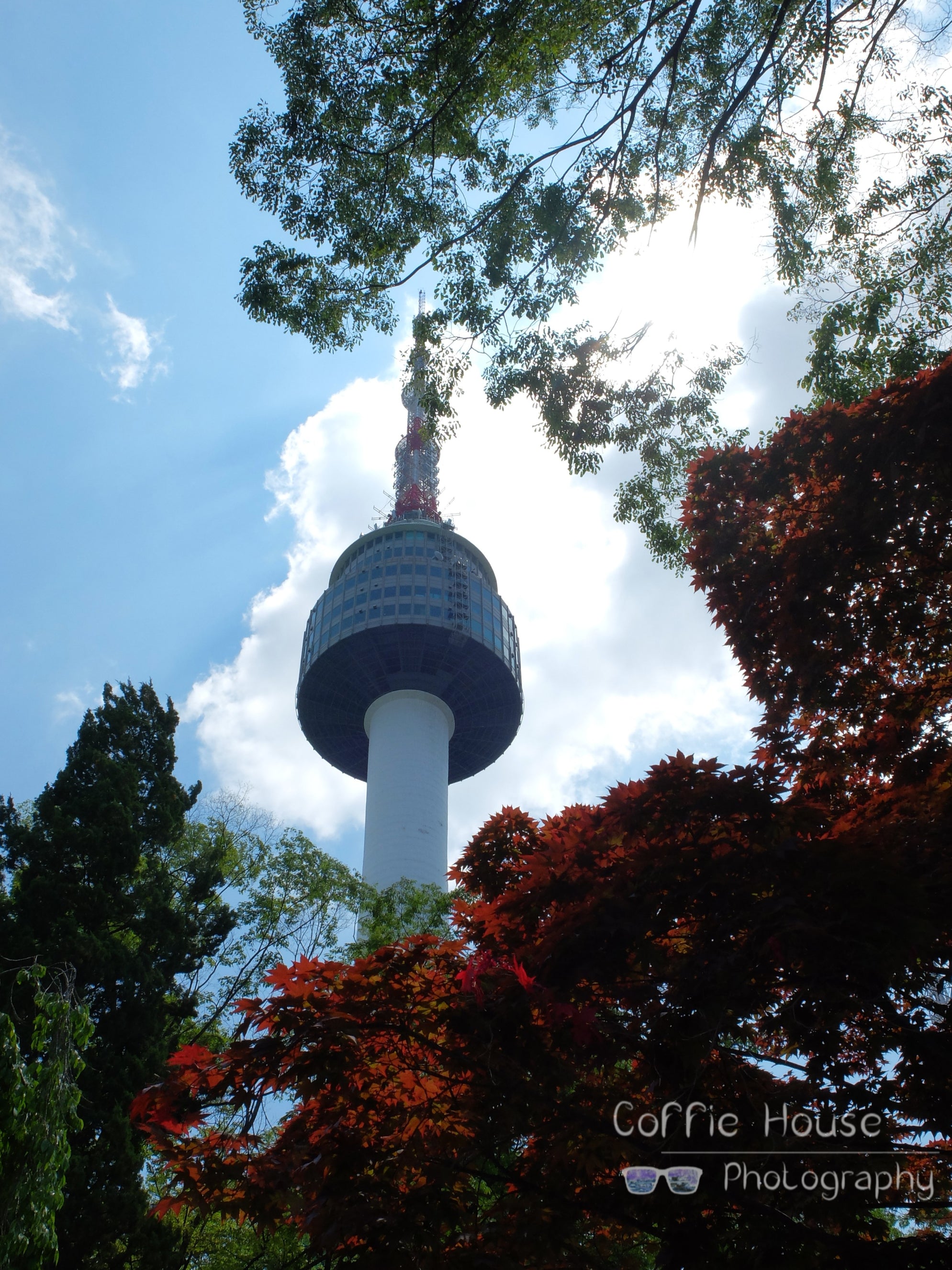 Seoul Tower in the trees
